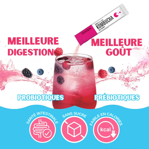 TEAZEN Kombucha Fruits Rouges – 10 sachets