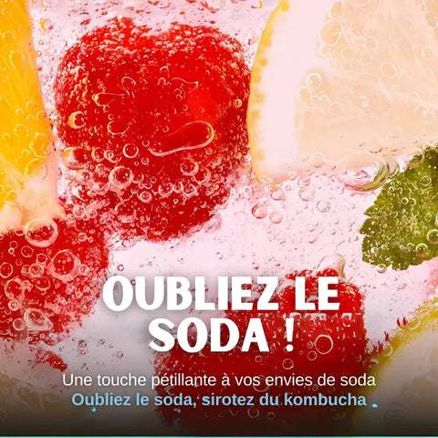 TEAZEN Kombucha Fruits Rouges – 10 sachets