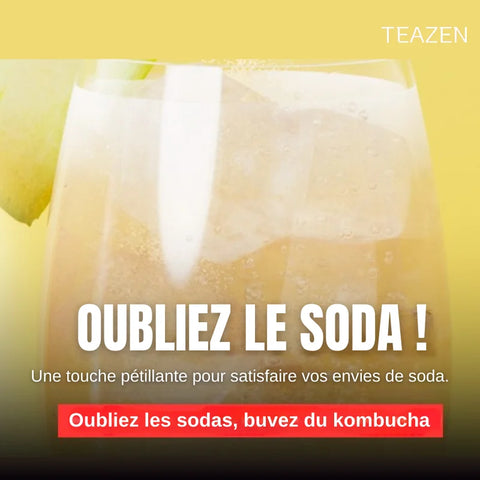 TEAZEN Vinaigre de Cidre – Bien-être & Détox – 10 sticks